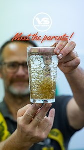 1.6K reactions · 22 shares | Come with us as we reveal all!  ...