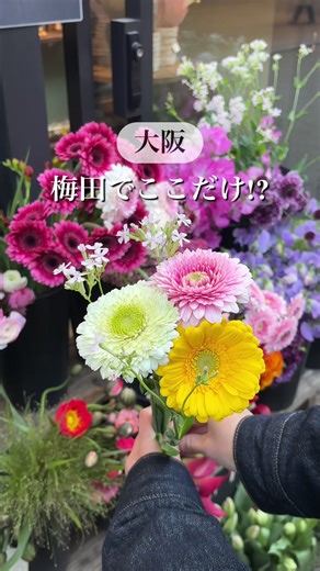 たった990円でできる フラワーバイキング見つけた🌸✨ たくさんのお花の中から 自分の好きなお花を選んで オリジナルのフラワーブーケが作れちゃう💐 色味を合わせたり 好きなお花だけ選んだり 選んでる時間もめっちゃ楽しい☺️ 自分へのご褒美にもいいし ちょっとしたプレゼントにも絶対喜ばれるやつ🎁 梅田でこんなんできるの嬉しすぎる…！ 気になる人は 忘れないように保存して行ってみてね🌼 __ 【店舗詳細】 ▫︎店名：ファレットフルール KITTE大阪店 @falettekitteosaka ▫︎住所：大阪府大阪市北区梅田3丁目2-2 ▫︎営業時間： 平日 11:00〜20:00 土日 10:00〜20:00 ▫︎最寄駅：大阪駅 【料金】 ▫︎1本：330円 ▫︎4本：990円 ▫︎8本：1,980円 __ #大阪デート #大阪おでかけ #梅田花屋 #梅田サプライズ #kitte大阪