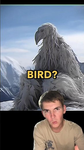 What is Luh Clam Fit?