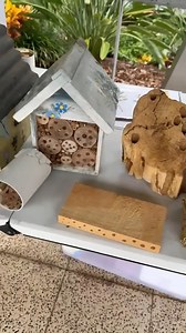 Learn about Australian native bees during a solitary bee hotel workshop! 🐝 Ian Driver form A Green Soul Native Bees will take you through how to attract bees into your garden and you'll even take home your own bee hotel. 🍯 After the workshop enjoy Devonshire tea with fresh scones, fruit and muffins! Book online at https://bit.ly/IpsBeeHotel or call 3281 0555. | Discover Ipswich