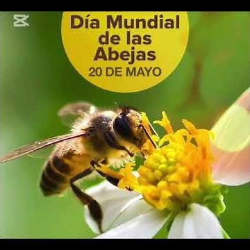 LAS SOÑADORAS-MAYO 2026