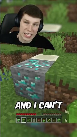 Minecraft, But Random Blocks Spawn When I Walk!