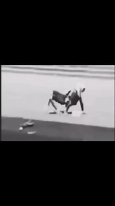 Tiktok Chekpoint (@itzzseoo)’s videos with My Happy Song - Super Simple Songs