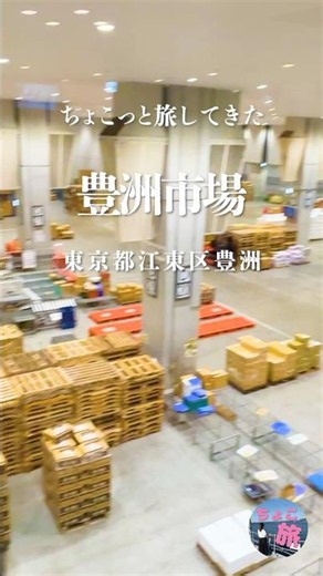 豊洲市場｜こうなってるんだ！初めて歩く市場 #ちょこっと旅してきた