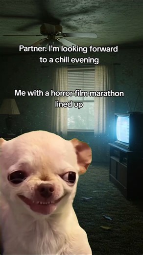 Watching horrors on Halloween is mandatory!! 👻🎃 #halloween #scaryfilms #horrorfilms #horrormemes | CeX