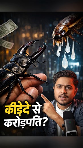 "Weird Insect Business | Cockroach Milk & Stag Beetle || #facts