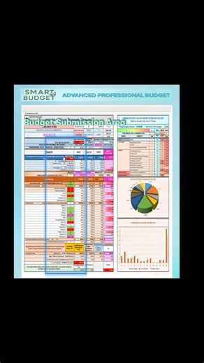 Smart Budget, BudgetIQ