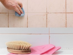 Pink Mold in Bathroom: Causes, Cleaning & Prevention -