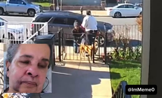 This 75-year-old woman has been beaten and hospitalized for asking a person to clean up her dogs poop. Until there are some harsh penalties for the constant assaults, this will continue in this country.Has America created a culture of wild dogs who have no fear of consequences because they have never been punished for their crimes - Too many have been arrested - prosecuted and then let right back out on the streets to commit more crimes.This is an incentive of sorts to commit crime rather than a