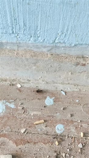 Exploring a Cockroach on a Textured Surface