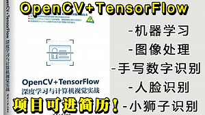2025【OpenCV+TensorFlow计算机视觉实战】完整教程！视觉算法工程师必备图像处理工具、框架以及项目实战详解！计算机视觉/机器学习/深度学习