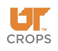 Cotton - UT Crops