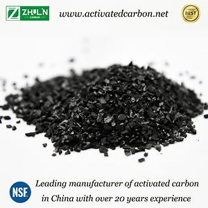 [Hot Item] 8X30 Mesh Coconut Shell Activated Carbon for Cleaning Sewer Pipes