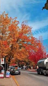Adelaide’s Prettiest Season!Hahndorf Autumn 2026 🍁Autumn in Adelaide Feels Like Germany 🇩🇪🍂