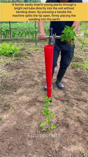 The Smart Way to Plant Seedlings Without Back Pain