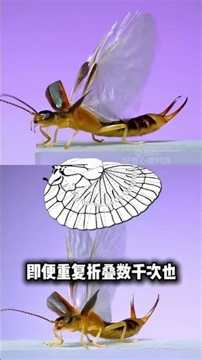 Nature is the greatest engineer. #Science #KnowledgeBoost #AmazingNature