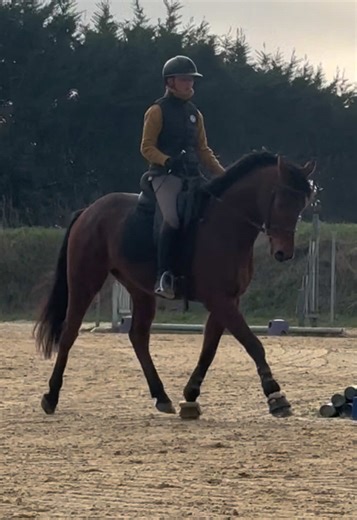 mon super petit cheval 💗 #fyp #horse #eventing