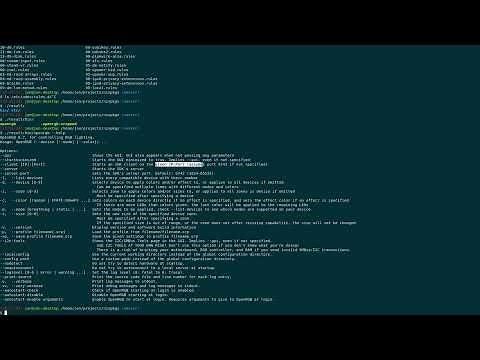 NixOS - Adding a module to NixOS/Nixpkgs (OpenRGB)