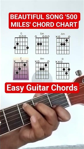 500 Miles Song l Easy Guitar Chords #shorts #shortsfeed #guitarchords #guitartutorial #howtoplay