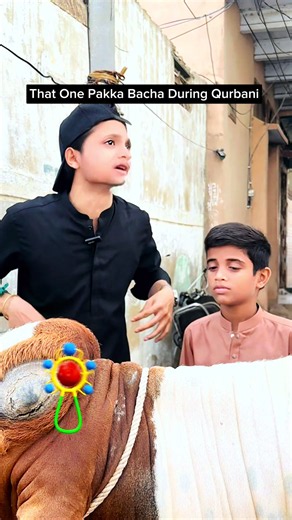 That One Pakka Bacha During Qurbani #relatable #funnyvideos #qurbani #maweshimandi #bakraeid
