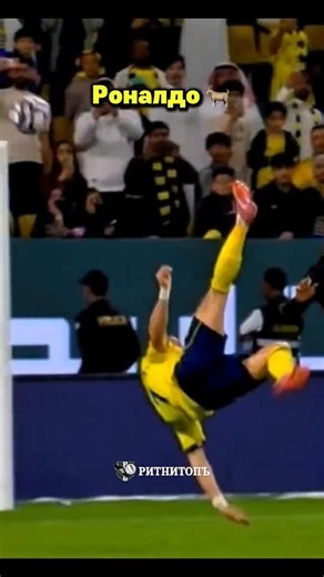 Ритнитопъ on Instagram: "😱 Какво ще кажете за тази задна ножица на Кристиано Роналдо от преди няколко минути? Португалецът отбеляза този фамозен гол в продължението на мача срещу Ал Халеей, спечелен от Ал-Насър с 4:1. 🔝 Ал-Насър продължава да е едноличен лидер в класирането с пълен актив от 27 точки след 9 кръга. Роналдо пък отбеляза своя 10-и гол от началото на първенството. #ronaldo #cr7 #cr7fans #saudi_arabia #football #bicyclekick #goat #alnassr #cristiano"