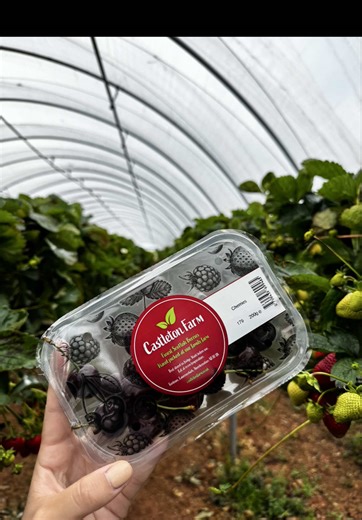 thecastletonfarm on TikTok