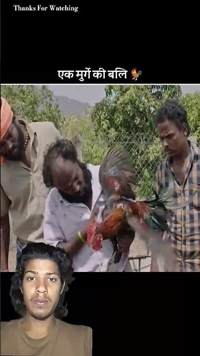 Smart Appliances New Gadgets, Versatile Utensils, Tool Items #shorts​​​​​ #gadgets305​​​​​​​​​​