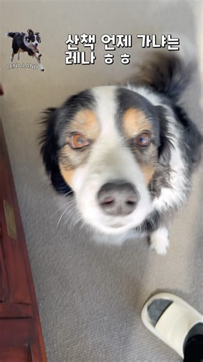 Lena keeps asking about the walk haha