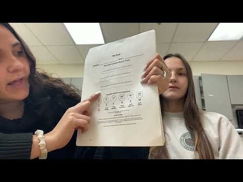 The 'Pain Scale' Explained - By Student Dr. Kelsey Hillyer & Alaina Morgan, BSW