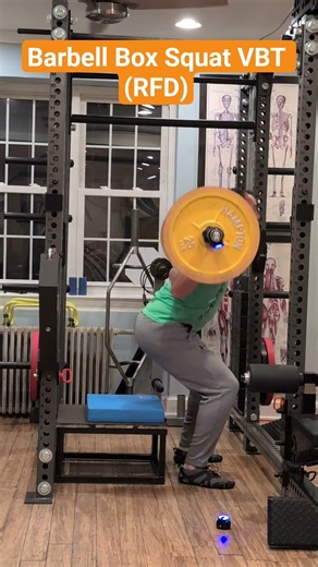 Barbell Box Squat VBT (RFD)