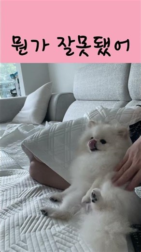 어디서부터 잘못된걸까 | #shorts #🌶️