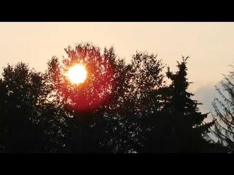 1268976 hd 1920 1080 30fps