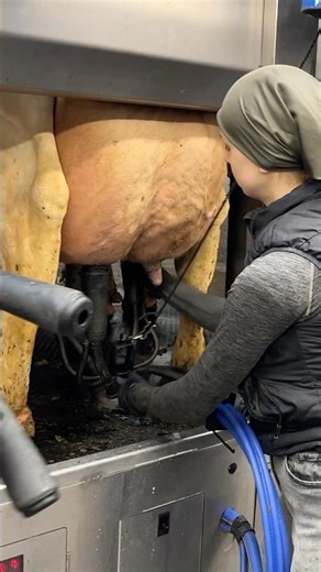 🐄💦 Clean Cows, Smart Tech 💡 | A Day With Real Modern Farm Girls