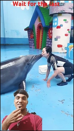 "Unbelievable Dolphin Love for Humans – Heartwarming Bond!"#usa