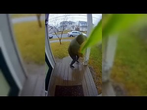 Best Porch Pirate Revenge Moments | Fictional Package Thief Scenarios 🚨📦