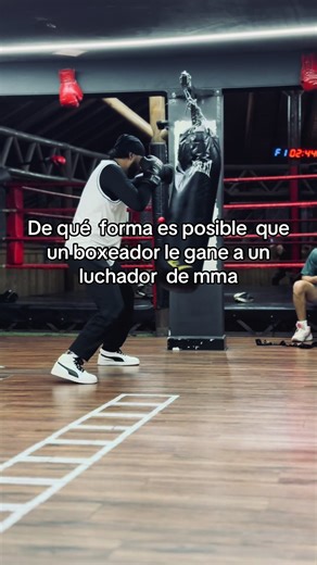 Boxeo vs MMA: ¿Puede un boxeador vencer a un luchador?