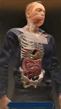 What Actually Happens in Appendicitis? ⚠️