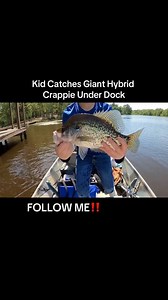 Kid catch giant hybrid crappie under dock! Do you think it’s a hybrid? #903fishing #903areacode #crappie #crappiefishing #crappies #crappietok #crappietips #crappiejig #fishing #fishinglife #fishingtiktoks #fishingtips #fishinggear #tylertx #fypシ #fyp #fy #fishtok #crappiefishin #fishingtiktok #texasfishing ##acccrappiestix #kayakfishing ACC Crappie Stix Piscifun | 903 Fishing