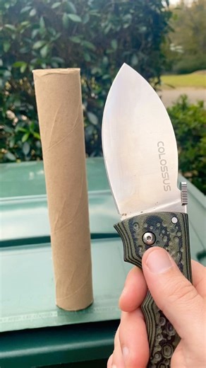 Cold Steel Colossus Extreme Sharpness Demo ‪@csknives‬ #huntingknife #knifeskills