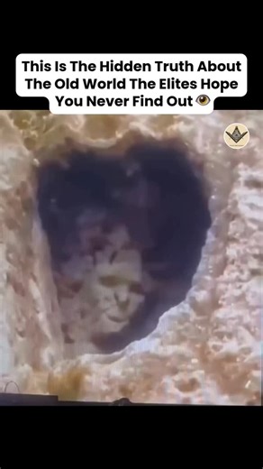 👁️Conspiracy👁️ | They told you fossils are ancient animals. They told you mountains are just rock. But what if the world beneath your feet isn't... | Instagram