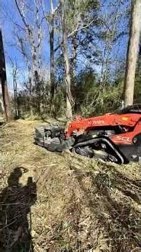 BRUSH CLEARING TRANSFORMATION ✌🏼