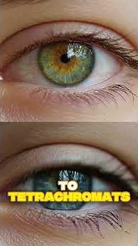 The Color You Can’t See 🎨 | Tetrachromacy Explained #Shorts