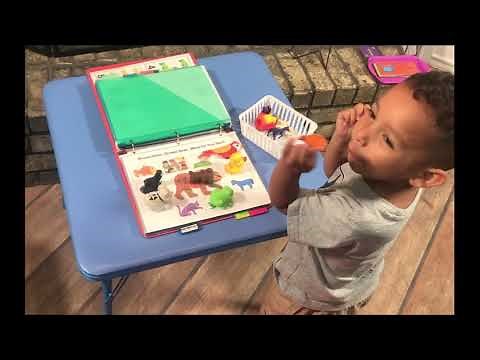 Brown Bear, Brown Bear Hands-on Preschool Activities