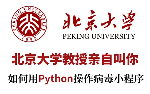 北京大学教授十个课时教会你如何用Python操作病毒小程序！