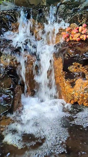 Mountain Stream Water Sounds – Pure Nature #relaxing#creeksounds#natureambience #naturesounds