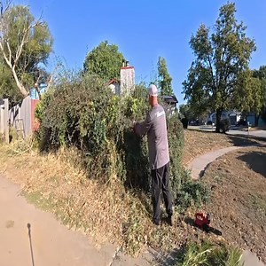 6.8K views · 226 reactions | Underpaid Teacher Had Most Unsightly Lawn On The Block, So We Did This For Him | Daily TKlawns | Facebook