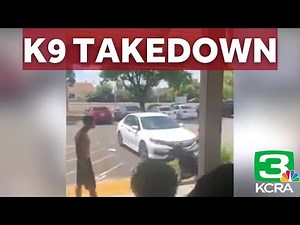 Witness records K9 taking down suspect outside Roseville restaurant
