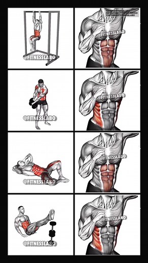 Effective Abs Workout Exercises for Perfectly Toned Abs