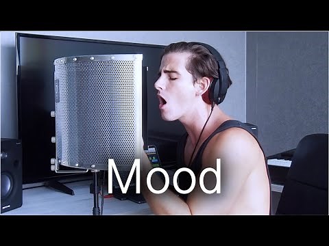 Mood - 24kGoldn ft. Iann Dior (COVER)