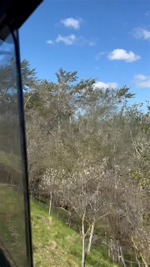 Hot day happy passengers today. Book via the link for a great train ride. https://fareharbor.com/embeds/book/wekapassrailway/items/?full-items=yes&back=https://wekapassrailway.co.nz/ | Weka Pass Railway